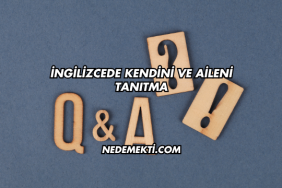 İngilizcede Kendini ve Aileni Tanıtma