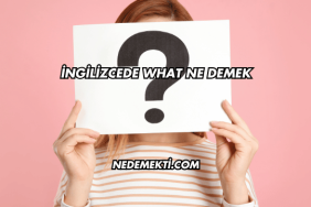 İngilizcede What Ne Demek
