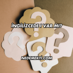 İngilizcede ı Var mı