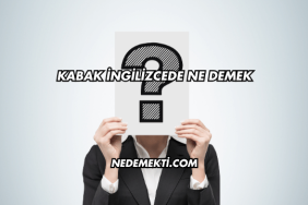 Kabak İngilizcede Ne Demek