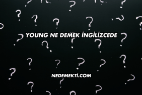 Young Ne Demek İngilizcede