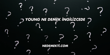 Young Ne Demek İngilizcede